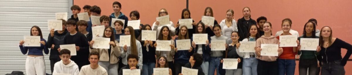 Screenshot_20241018_191335_Gallery